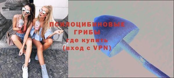 герыч Зеленокумск